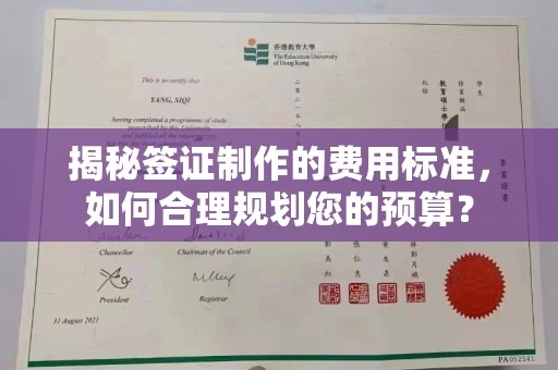 拜城揭秘签证制作的费用标准，如何合理规划您的预算？