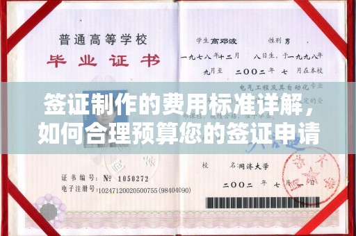 确山签证制作的费用标准详解，如何合理预算您的签证申请成本